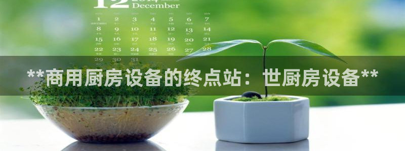 d88尊龙z6：**商用厨房设备的终点站：世厨房设备**