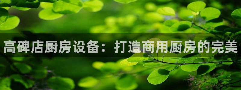 尊龙服饰品牌介绍：高碑店厨房设备：打造商用厨房的完美