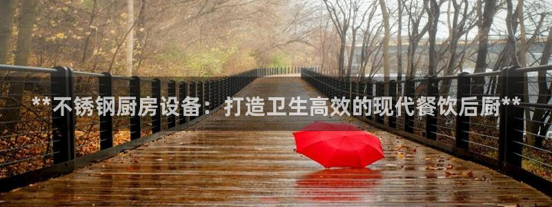 尊龙凯时网站登录：**不锈钢厨房设备：打造卫生高效的现代餐饮