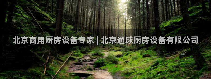 尊龙凯时城娱乐：北京商用厨房设备专家 | 北京通球厨房设备有