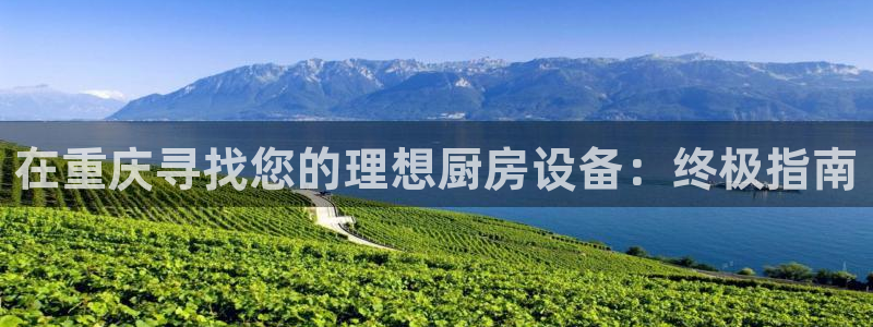 尊龙凯时有限公司：在重庆寻找您的理想厨房设备：终极指南