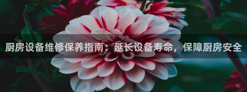 尊龙d88官网去来就送38：厨房设备维修保养指南：延长设备寿
