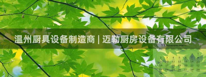 尊龙凯时代理能提出来不：温州厨具设备制造商 | 迈勒厨房设备