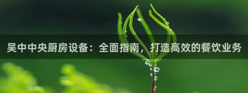 凯时国际最新：吴中中央厨房设备：全面指南，打造高效的餐饮业务