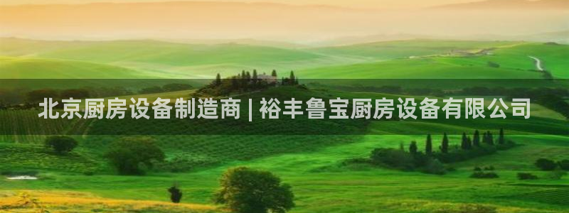 尊龙凯时老板是谁：北京厨房设备制造商 | 裕丰鲁宝厨房设备有