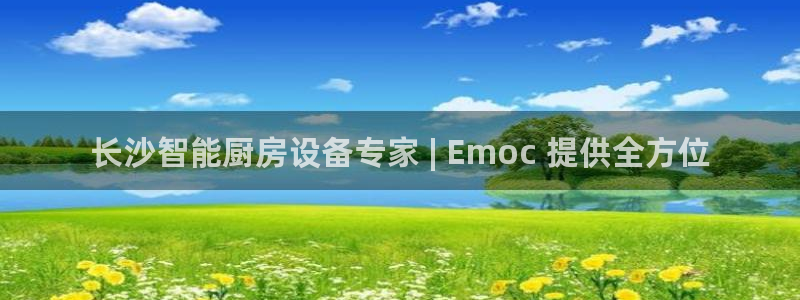 尊龙凯时有没有出不了款的情况：长沙智能厨房设备专家 | Em