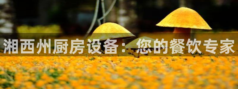 kb88凯时SO权威AG发财网：湘西州厨房设备：您的餐饮专家