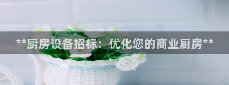 尊龙凯时官方网站下载：**厨房设备招标：优化您的商业厨房**