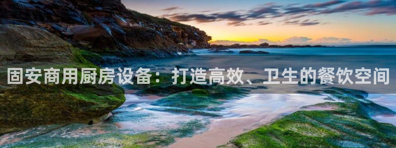 尊龙z6平台：固安商用厨房设备：打造高效、卫生的餐饮空间