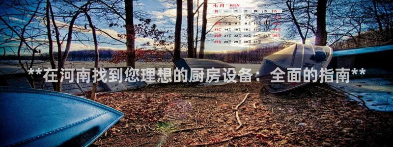 凯时赢来就送38：**在河南找到您理想的厨房设备：全面的指南