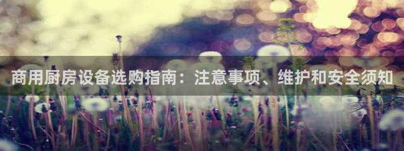 d88尊龙可靠送38元：商用厨房设备选购指南：注意事项、维护