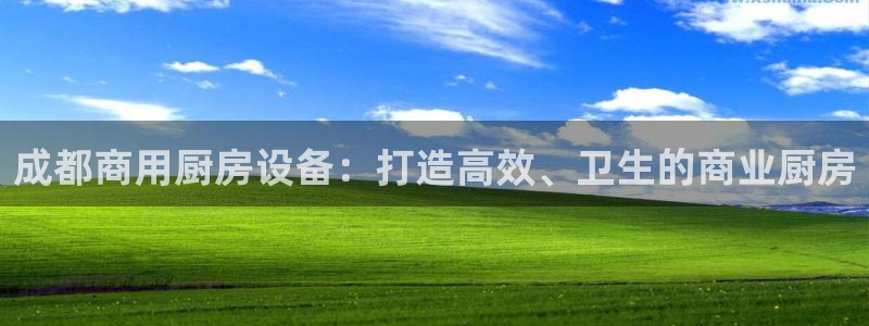 尊龙ktv怎么样：成都商用厨房设备：打造高效、卫生的商业厨房