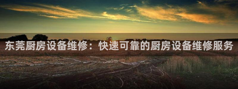 尊龙一人生就是博电子游戏：东莞厨房设备维修：快速可靠的厨房设