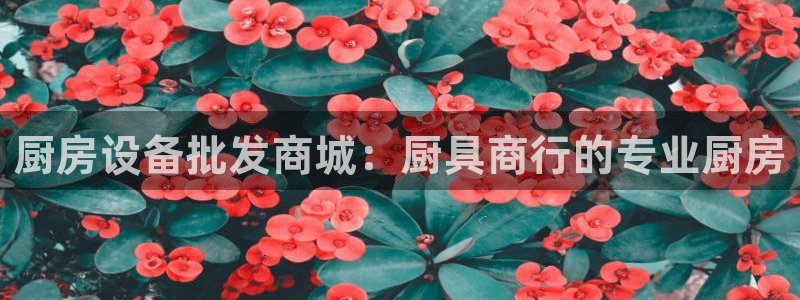 凯时国际娱乐官方网址：厨房设备批发商城：厨具商行的专业厨房