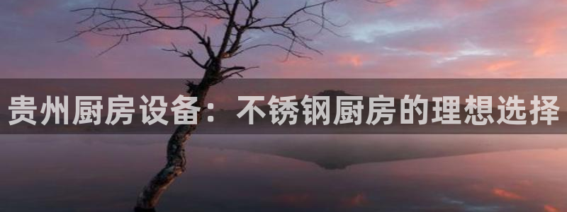尊龙app怎么样：贵州厨房设备：不锈钢厨房的理想选择