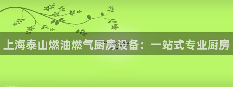 尊龙app下载官网：上海泰山燃油燃气厨房设备：一站式专业厨房
