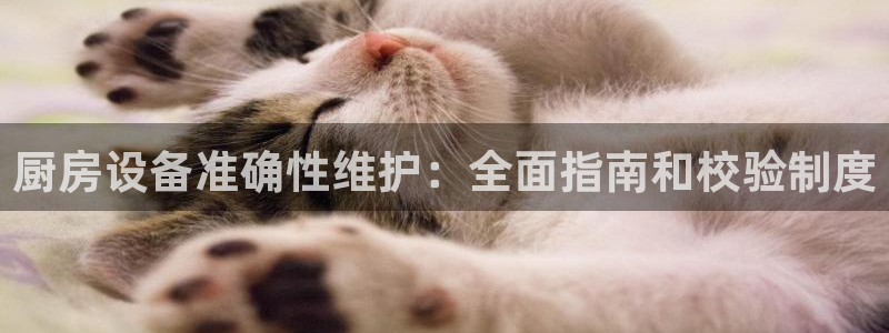 尊龙凯时能做退米么：厨房设备准确性维护：全面指南和校验制度