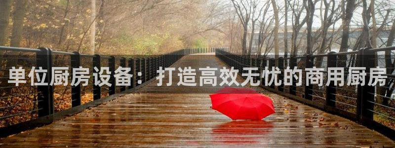 尊龙 贴吧：单位厨房设备：打造高效无忧的商用厨房