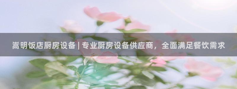 尊龙游戏中心：嵩明饭店厨房设备 | 专业厨房设备供应商，全面