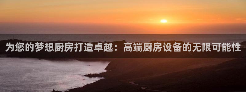 d88尊龙凯时：为您的梦想厨房打造卓越：高端厨房设备的无限可