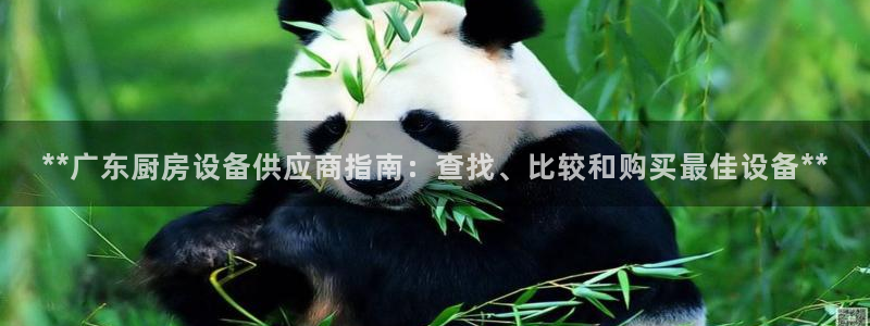 尊龙凯时官方网站：**广东厨房设备供应商指南：查找、比较和购