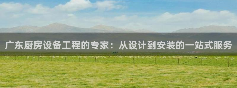 尊龙凯时是赌博嘛：广东厨房设备工程的专家：从设计到安装的一站