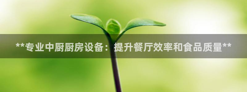 尊龙凯时企业文化：**专业中厨厨房设备：提升餐厅效率和食品质