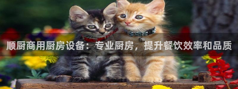 ag尊龙凯时俱乐部：顺厨商用厨房设备：专业厨房，提升餐饮效率