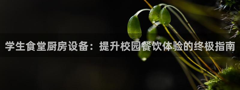 尊龙凯时投诉最狠的方法：学生食堂厨房设备：提升校园餐饮体验的