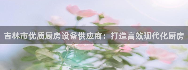 尊龙凯时城娱乐：吉林市优质厨房设备供应商：打造高效现代化厨房