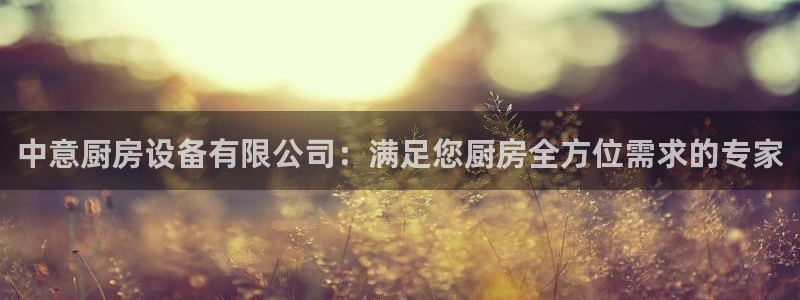 AG尊龙登陆网址：中意厨房设备有限公司：满足您厨房全方位需求