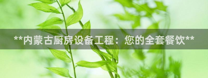 尊龙凯时登陆入口：**内蒙古厨房设备工程：您的全套餐饮**