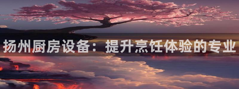 尊龙凯时百万奖池：扬州厨房设备：提升烹饪体验的专业