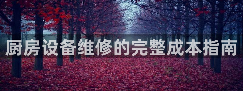 d88尊龙平台开户：厨房设备维修的完整成本指南