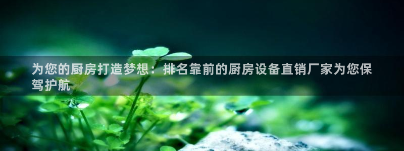 凯时国际app首页下载：为您的厨房打造梦想：排名靠前的厨房设