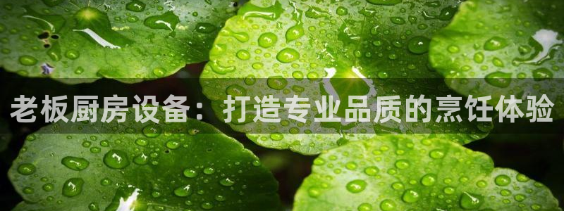 尊龙集团有限公司：老板厨房设备：打造专业品质的烹饪体验