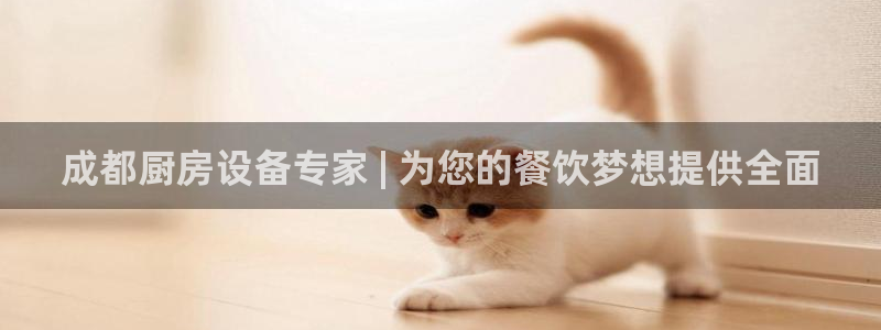 尊龙t600：成都厨房设备专家 | 为您的餐饮梦想提供全面