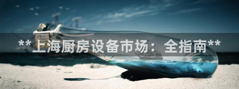 尊龙凯时美金能提取吗：**上海厨房设备市场：全指南**