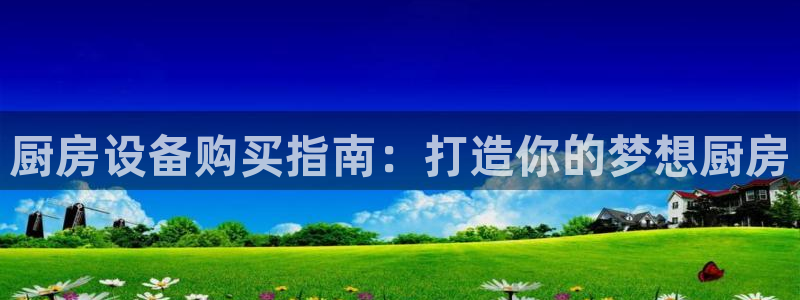 尊龙人生就是博现金：厨房设备购买指南：打造你的梦想厨房