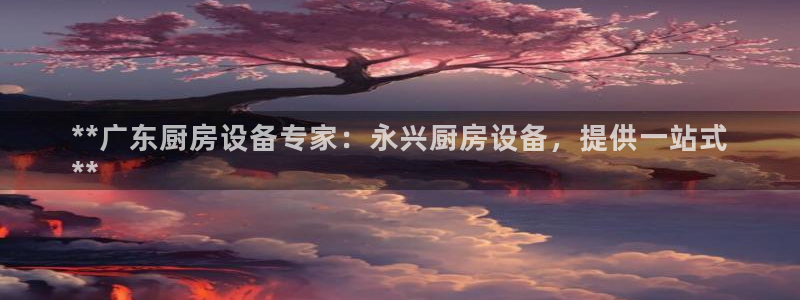 尊龙凯时的企业文化：**广东厨房设备专家：永兴厨房设备，提供