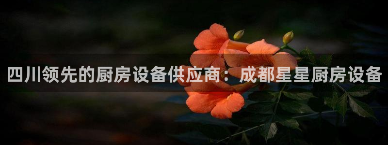 尊龙t600怎么样：四川领先的厨房设备供应商：成都星星厨房设