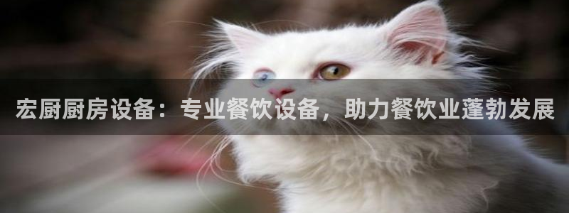 尊龙凯时人生就是搏!平台：宏厨厨房设备：专业餐饮设备，助力餐
