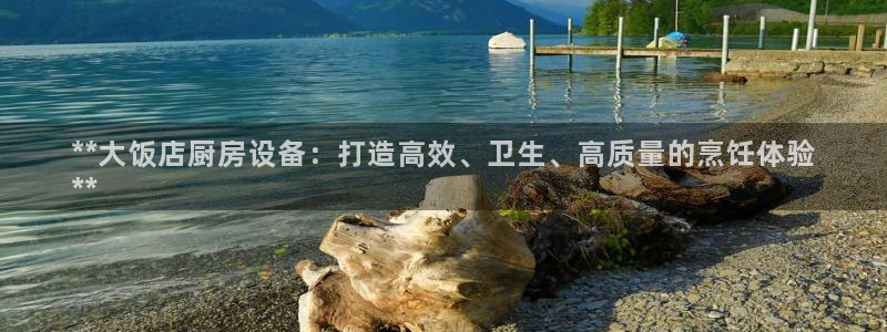 kb88凯时SO权威AG发财网：**大饭店厨房设备：打造高效