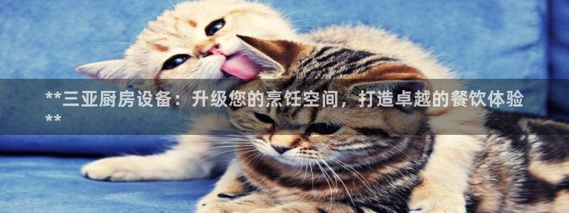 尊龙多少岁：**三亚厨房设备：升级您的烹饪空间，打造卓越的餐