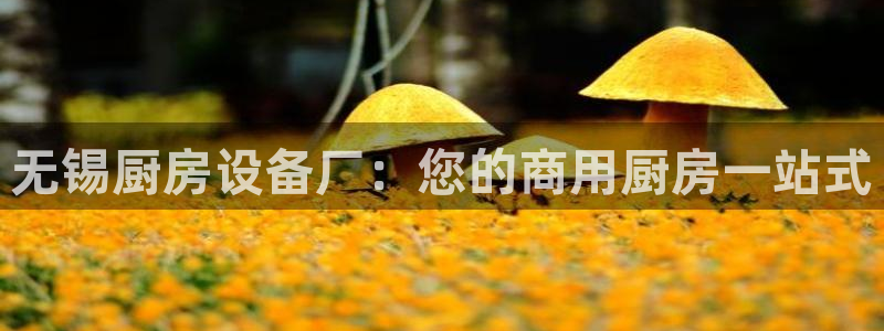凯时ag旗舰厅登录：无锡厨房设备厂：您的商用厨房一站式