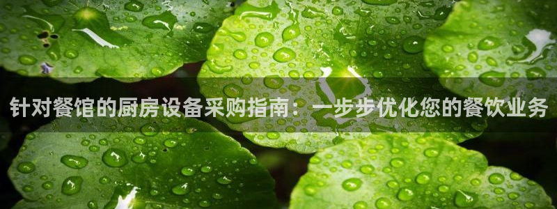 z6com尊龙凯时：针对餐馆的厨房设备采购指南：一步步优化您
