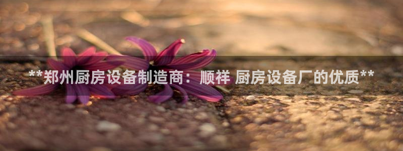 凯时ag旗舰厅：**郑州厨房设备制造商：顺祥 厨房设备厂的优