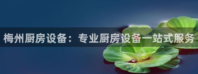尊龙注册码：梅州厨房设备：专业厨房设备一站式服务