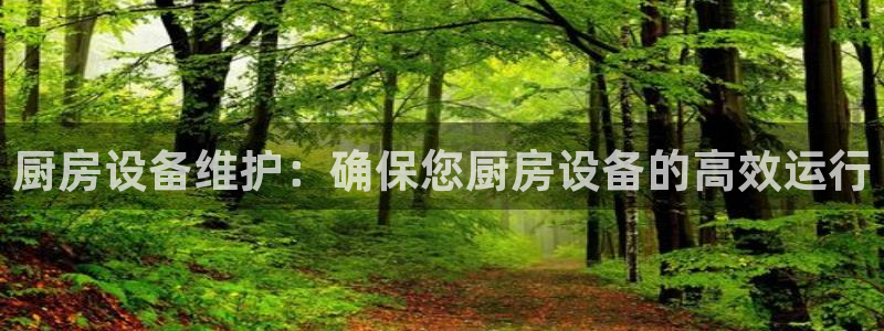 z6com尊龙：厨房设备维护：确保您厨房设备的高效运行