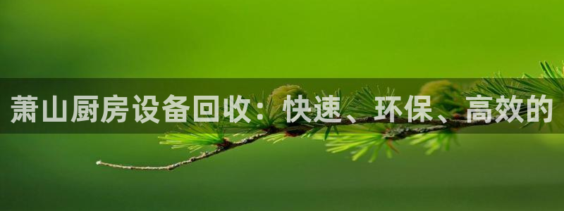 尊龙官方身高：萧山厨房设备回收：快速、环保、高效的